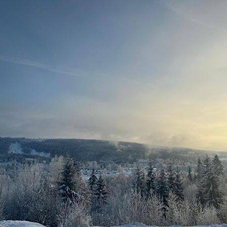 Koselig Rom I Rolige Omgivelser Amot Bagian luar foto