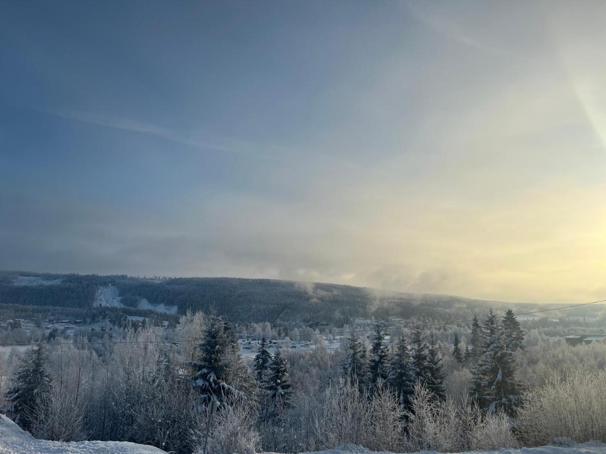 Koselig Rom I Rolige Omgivelser Amot Bagian luar foto